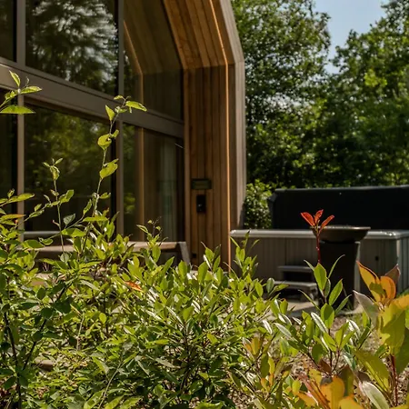 Met Jacuzzi - 6 Personen - Woodz